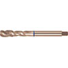A05690: Maschi a macchina in acciaio HSS-E 40° passo grosso DIN 371-376 per acciaio inox; FORMAT