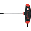 N20962: Chiavi maschio con impugnatura per viti con impronta Torx®; FORMAT