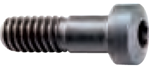 A50969: Ricambio vite per staffa; FORMAT