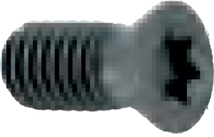 A55900: Ricambio vite per inserto; FORMAT