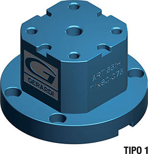 C55560: Rialzi per morse; GERARDI