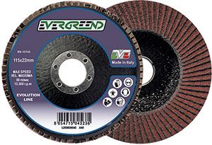 L20085: Dischi abrasivi lamellari; EVERGREEND