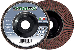 L20100: Dischi abrasivi bilamellari; EVERGREEND