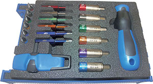 N15384: Assortimenti con giraviti dinamometrici ed inserti; TKN