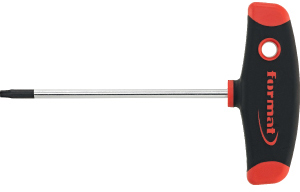 N20958: Chiavi maschio con impugnatura per viti con impronta Torx®; FORMAT