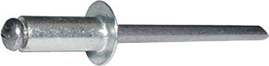 P40546: Rivetti a strappo in alluminio a testa tonda; RIVIT