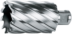 R50252: Fresa a corona in HSS-E serie lunga con attacco Weldon 19; FORMAT