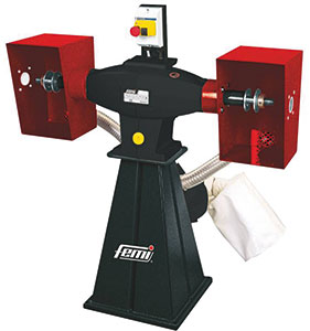 R65015: Pulitrice ecologica; FEMI