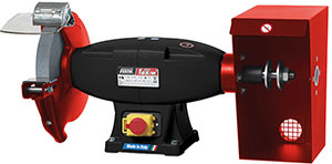 R65025: Smerigliatrice da banco combinata; FEMI