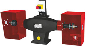 R65030: Pulitrice da banco; FEMI