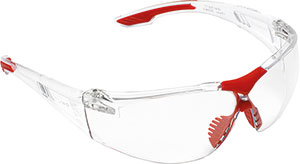 S60205: Occhiali di protezione lente incolore; NORTH