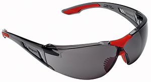 S60215: Occhiali di protezione lente grigia; NORTH