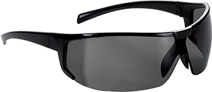 S60430: Occhiali di protezione lente grigia; FORTIS_ANTINFORTUNISTICA