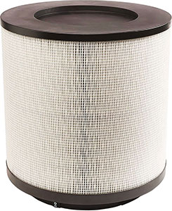 U03105: Filtro finale per unità filtranti di olio intero; FILTERMIST