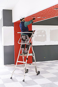 V60020: Scale in alluminio con piattaforma; FARAONE